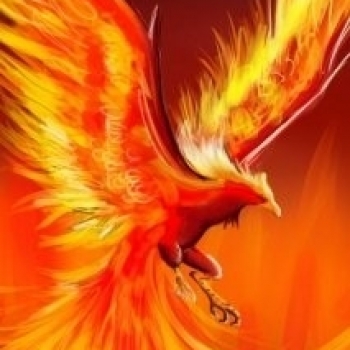 огненный феникс