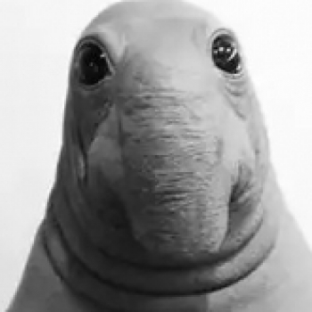 Жд ун