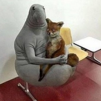 Сколько Сколько