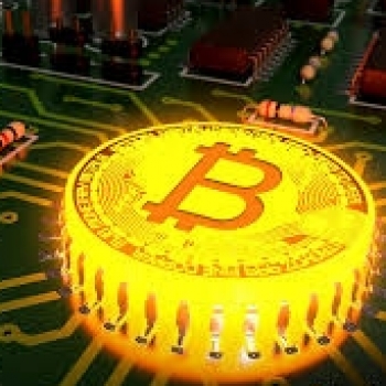 bitcoin crash meme geriausios kriptovaliutos programos