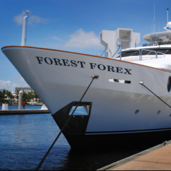 Forest Forex