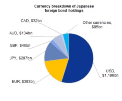 Currency Breakdown of Japanese Foreign Bond Holdings