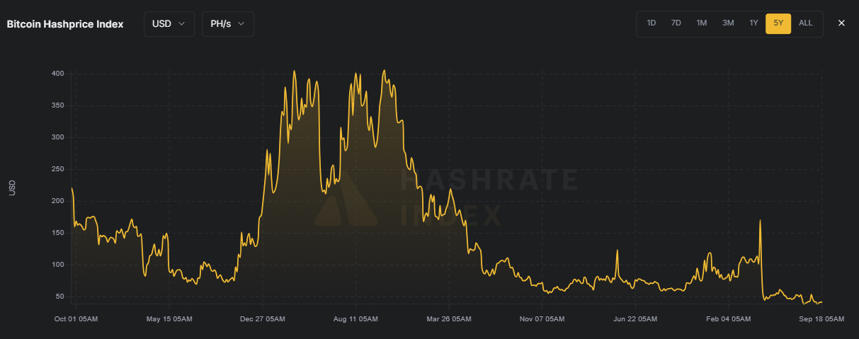 Источник изображения: hashrateindex.com