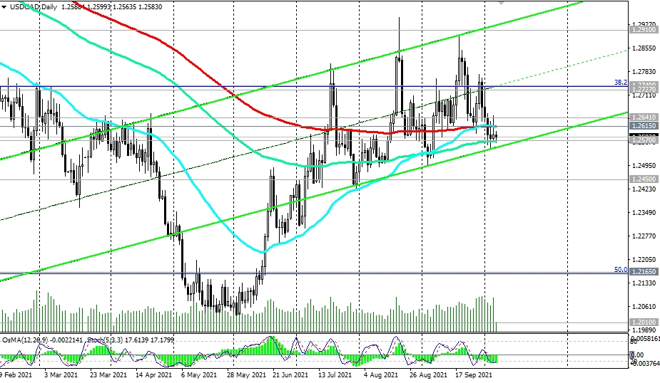 UCD-Daily