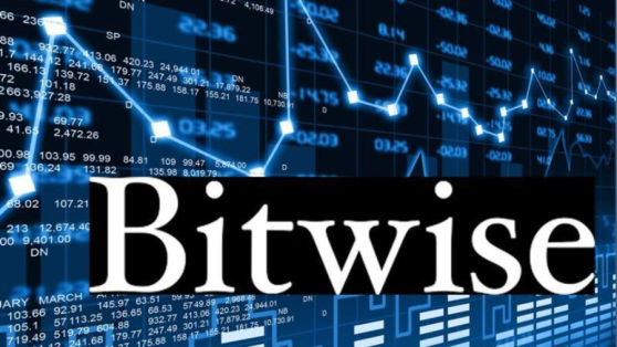 Bitwise будет перечислять 10% от прибыли своего ETH-ETF разработчикам Эфириума