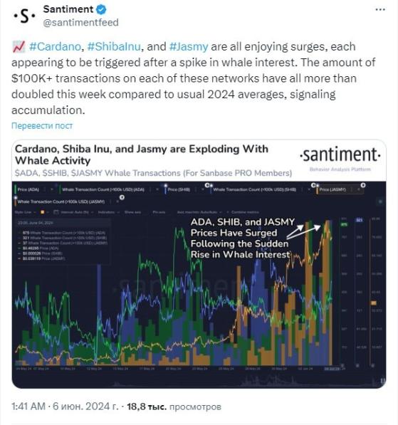 Число транзакций Cardano на сумму свыше $100000 выросло вдвое