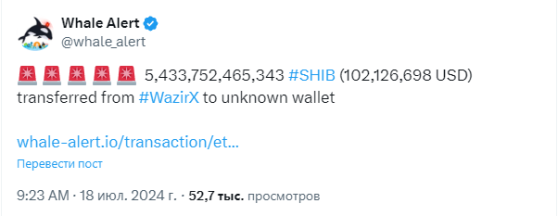 Пока Shiba Inu падает в цене, Shiba Shootout собрала на ICO $700,000