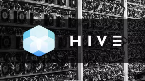 HIVE Digital планирует построить в Парагвае дата-центр мощностью 100 МВт