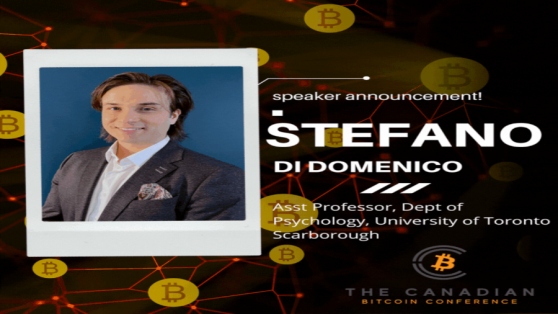 Стефано Ди Доменико: «Биткоин-инвесторы интеллектуально любопытны и эмоционально стабильны»