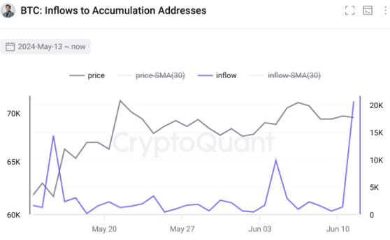 Благодаря коррекции биткоин-киты заработали $1,4 млрд за 24 часа