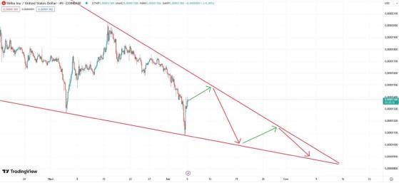 Петицию о сжигании Shiba Inu на Binance поддержали 1188 человек