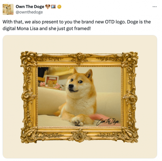 DAO Own The Doge купила права на изображение мема DOGE собаки Кабосу