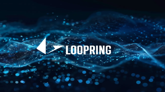 Кошелек Loopring потерял около $5 млн в результате взлома