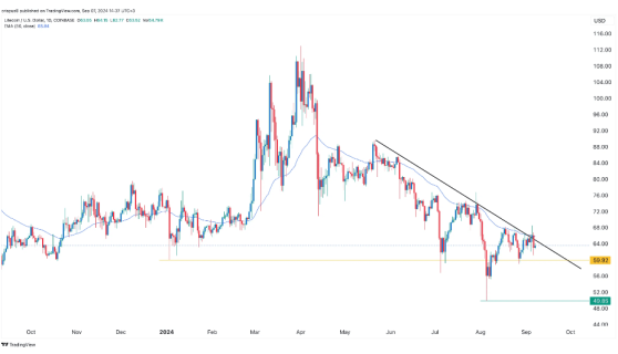 Santiment: LTC-киты проявляют повышенную активность