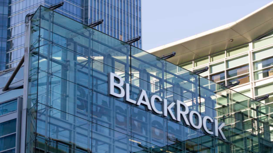 Token Terminal: Инвесткомпания BlackRock запускает собственный блокчейн