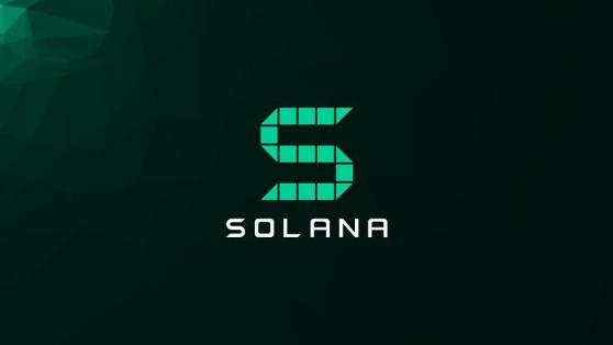 Аналитики Pantera Capital ожидают роста доли Solana на рынке блокчейнов 1 уровня