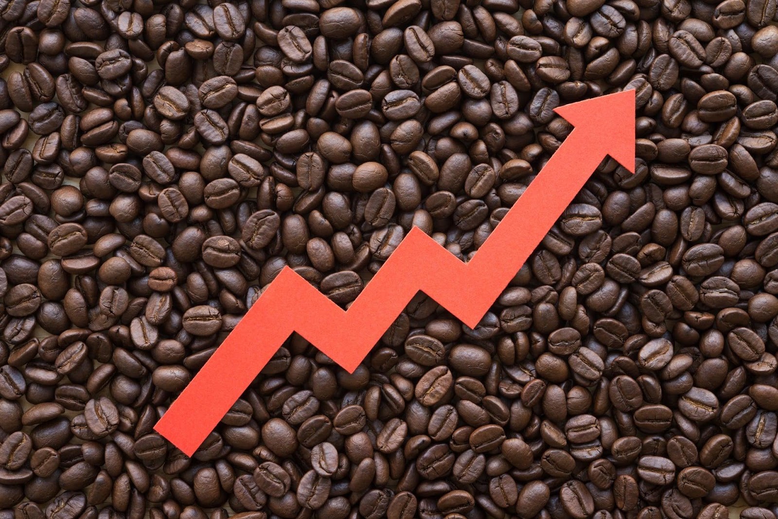 Coffee prices surge to 13-year high - BeanScene