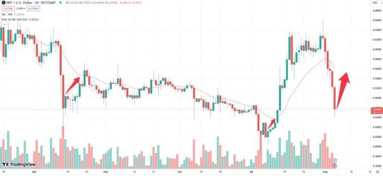 Криптовалютные киты воспользовались дампом для покупки XRP