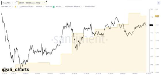 Криптовалютные акулы скупают Toncoin на фоне стагнации на рынке